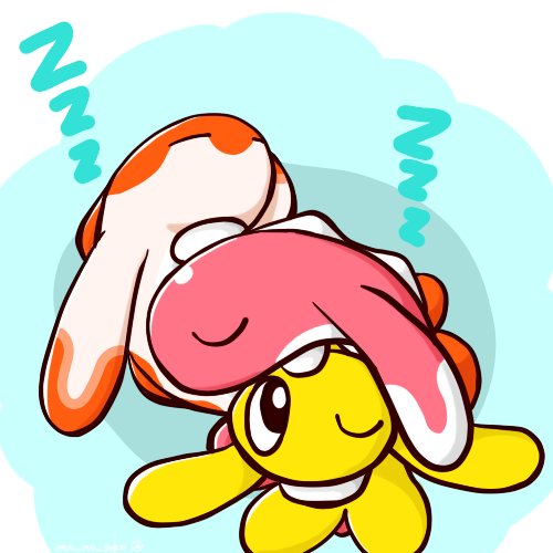 ネコタ🍣 tweet media