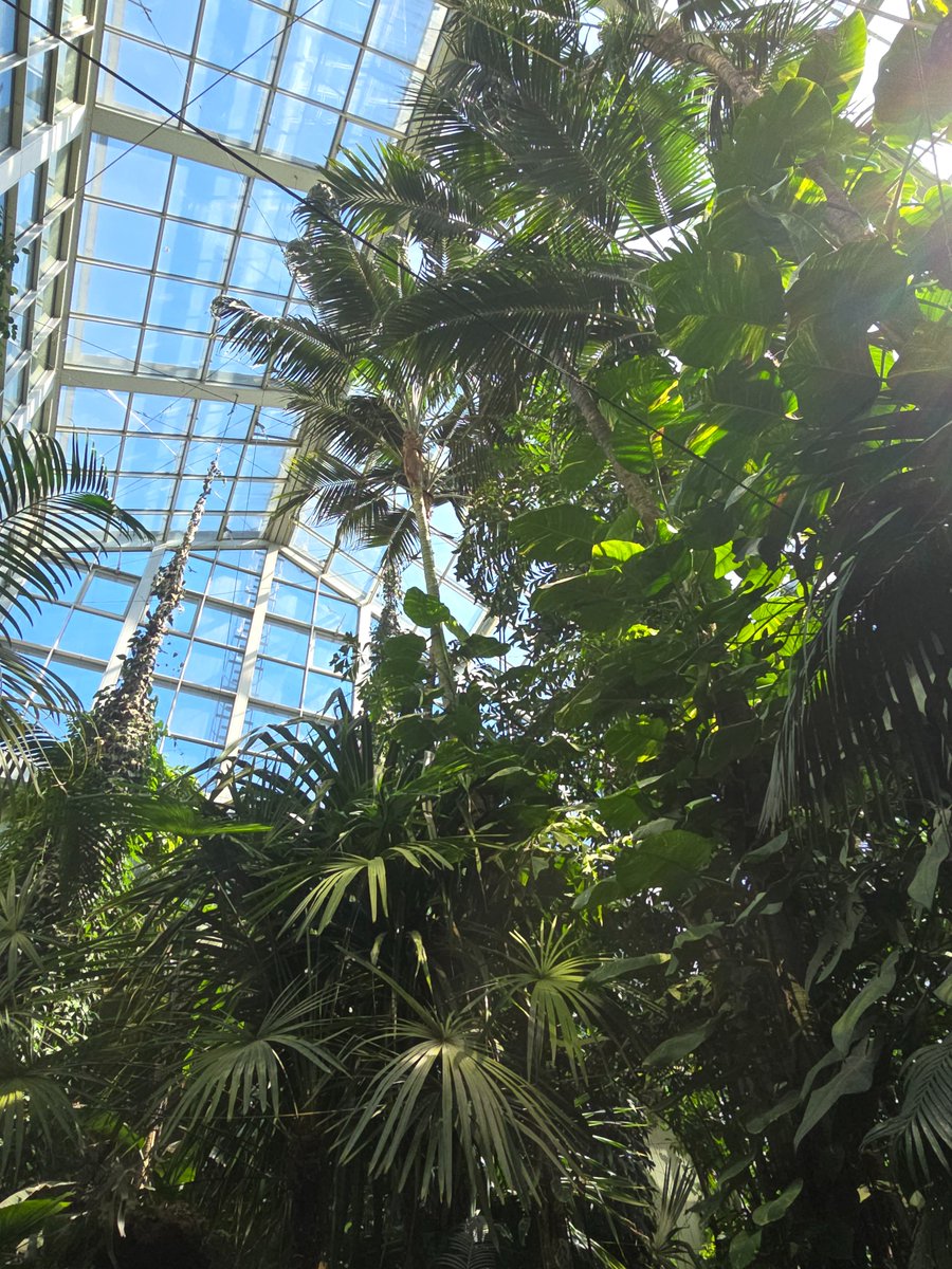 rudy maciej tweet media