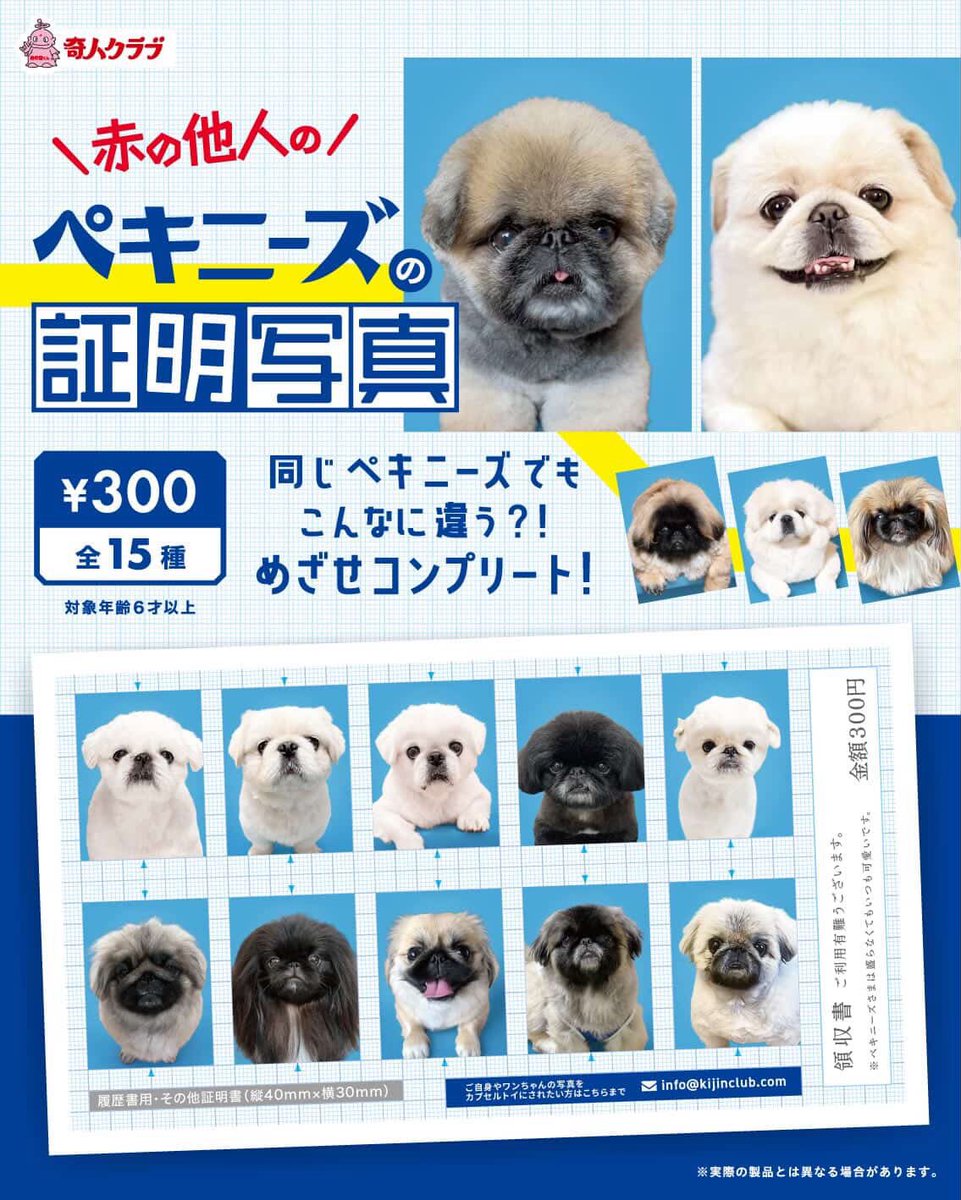 ぺったん tweet media
