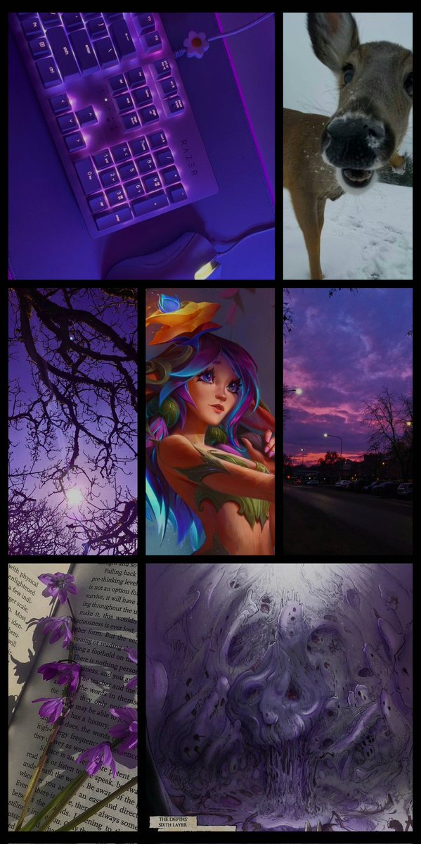 Acervo Lillia 🦌 tweet media