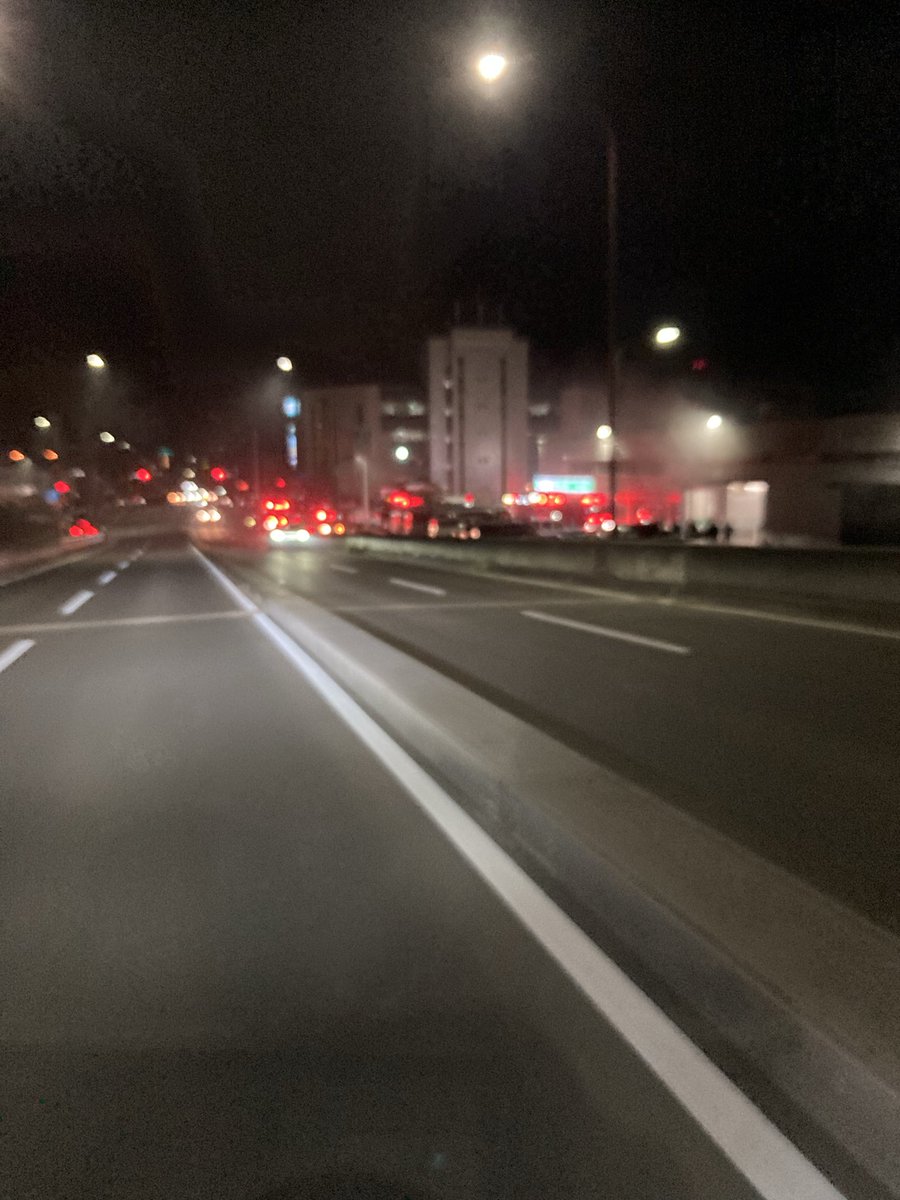 杜の都 tweet media