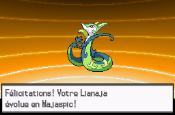 LeAronew's tweet photo. Le setup de la shasse Coupenotte/Galékid (Aron 👀) nous a amené à faire évoluer notre trouvaille d'hier, la famille de Vipélierre est vraiment magnifique en shiny 🦎✨ https://t.co/b48M3pL3O0