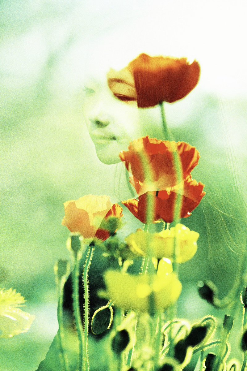 "Le vent se lève"
名古屋のワークショップの講師作例シリーズより。
Canon EOS7s/Kodak E100G