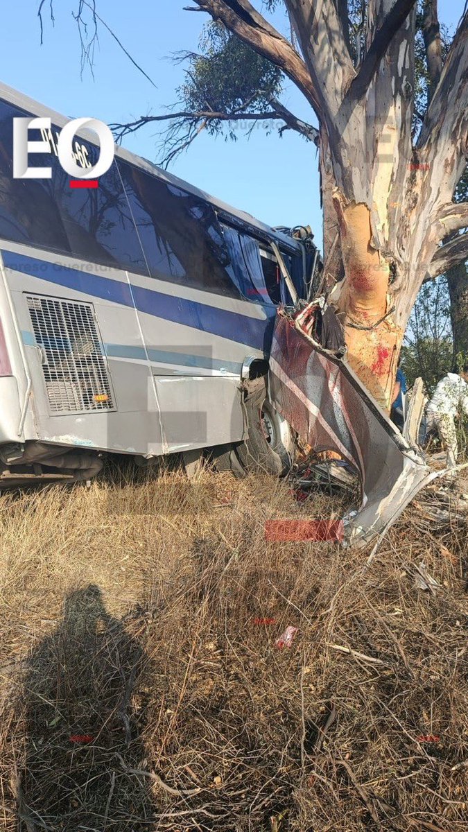expresoqro's tweet image. #Querétaro || Accidente en La Muralla rumbo al Municipio de Amealco; un autobús de pasajeros se impactó de frente contra un árbol, al momento se desconoce el número de lesionados o si hay víctimas mortales.
Seguiremos informando….