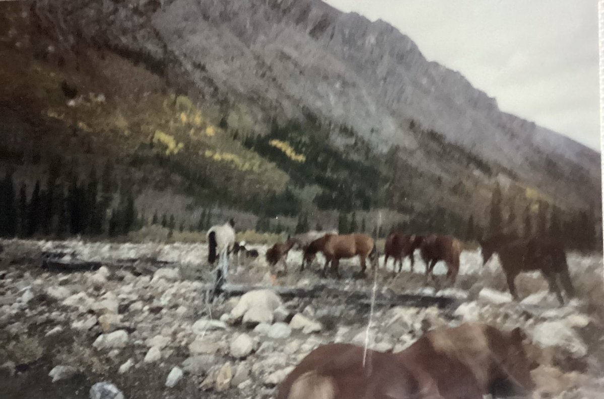 Free Rider tweet media