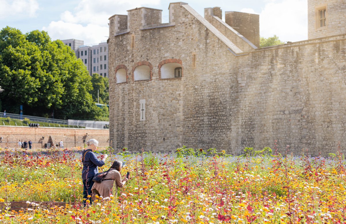 World Monuments Fund tweet media