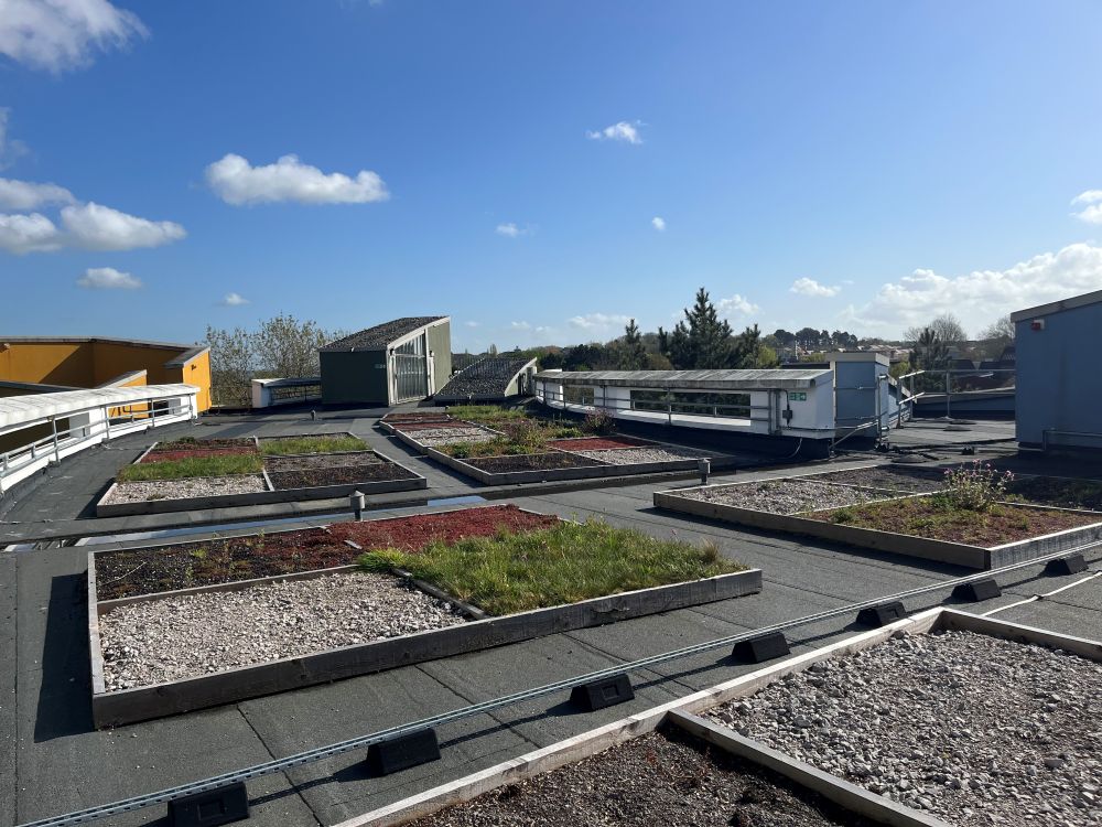 Faculty of STEM, The Open University tweet media