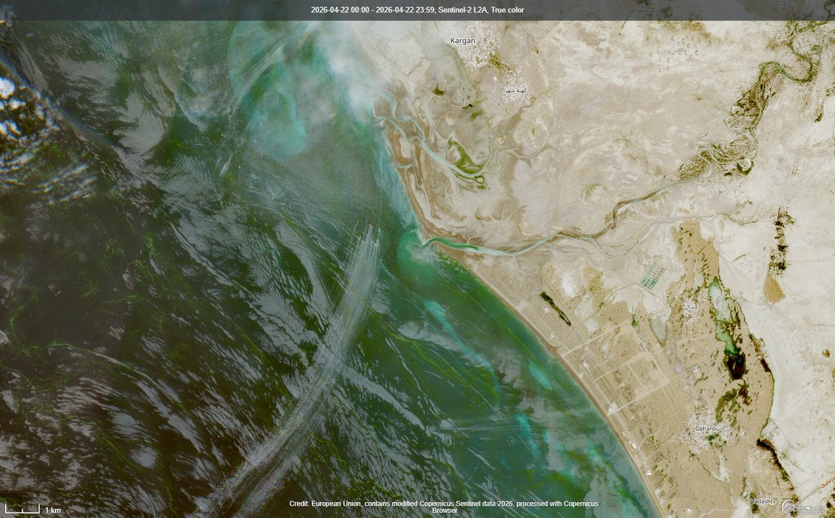 Mehdi H. tweet media