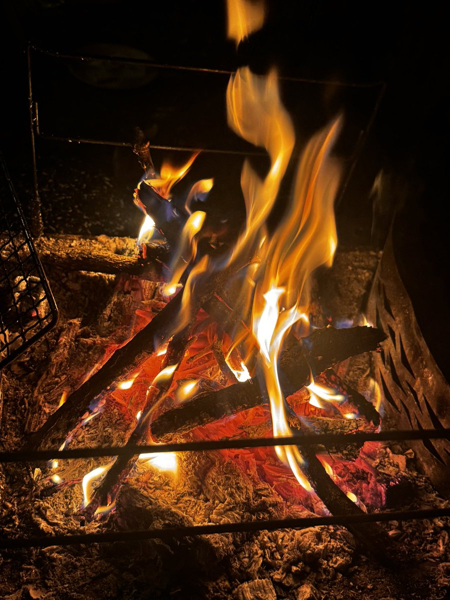 プロフェッショナルディガー tweet media