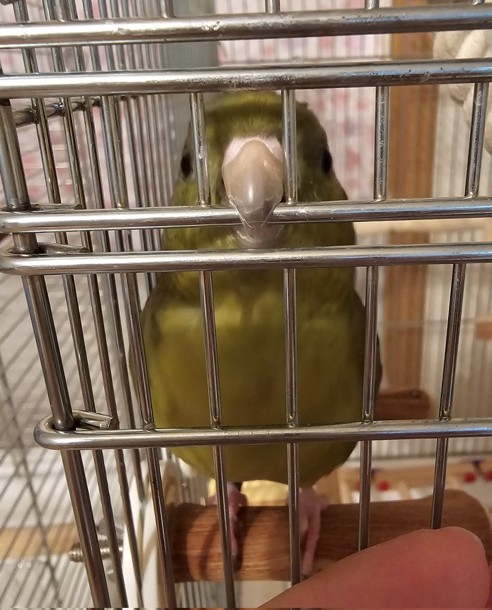 じょなさん tweet media