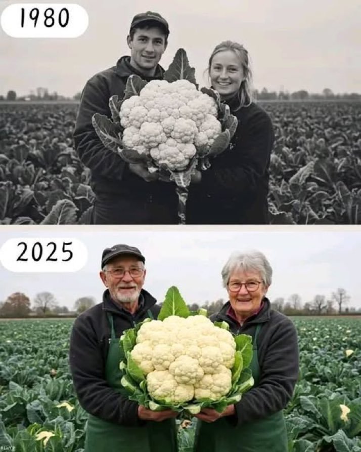 Then vs Now tweet media