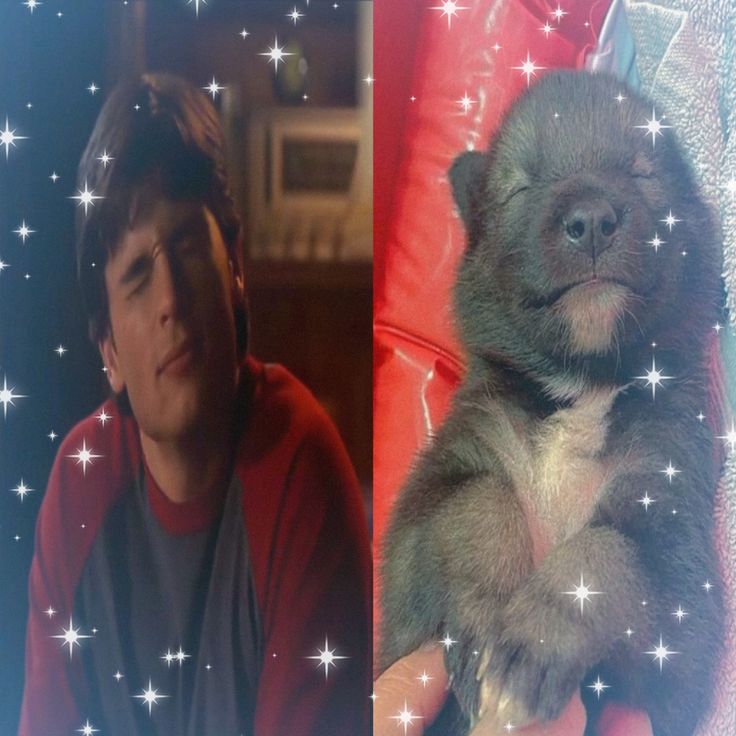 Stee jurídico da soso☝🏻🪩 tweet media