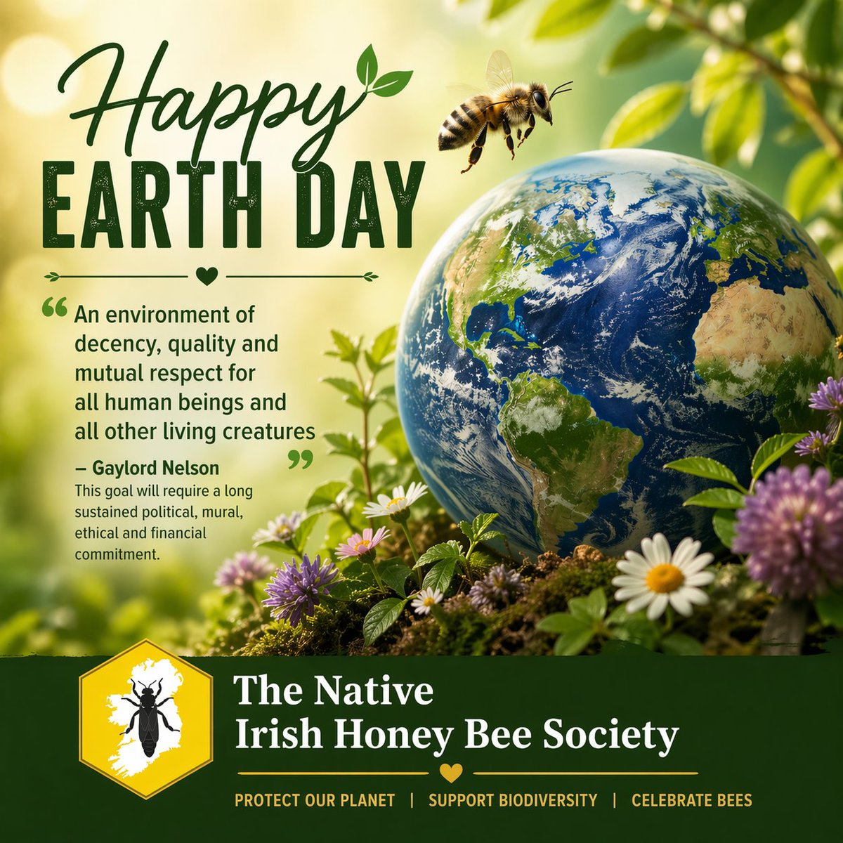 Native Irish Honey Bee Society tweet media