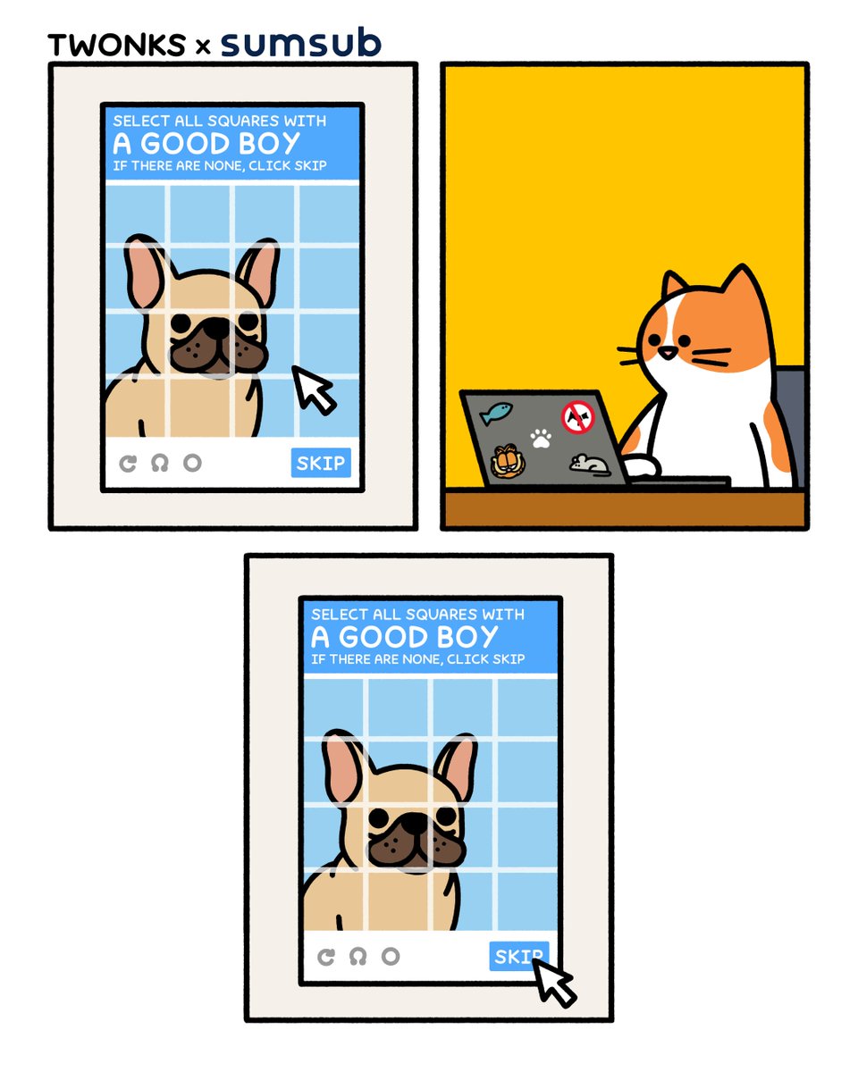 Sumsub tweet media