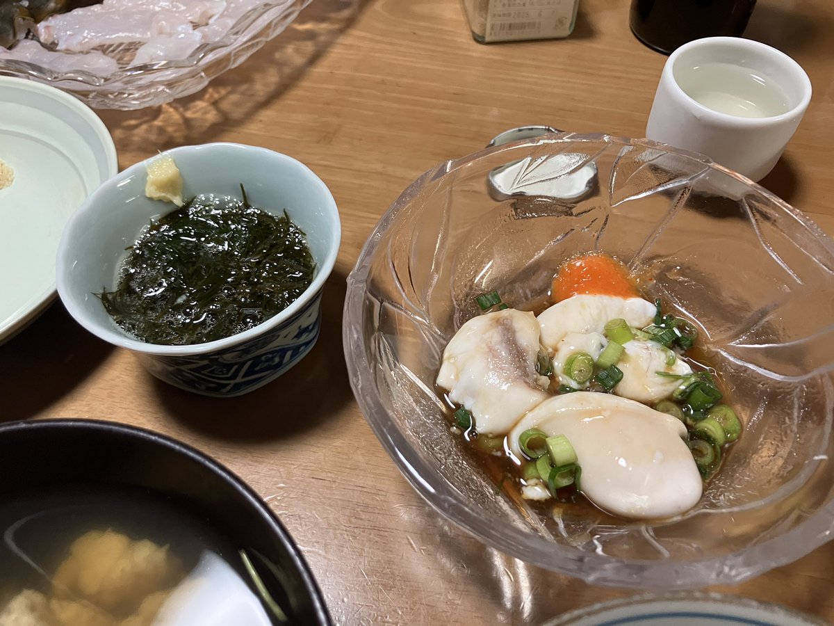 伊波悠希🍊ゆうきゃん tweet media