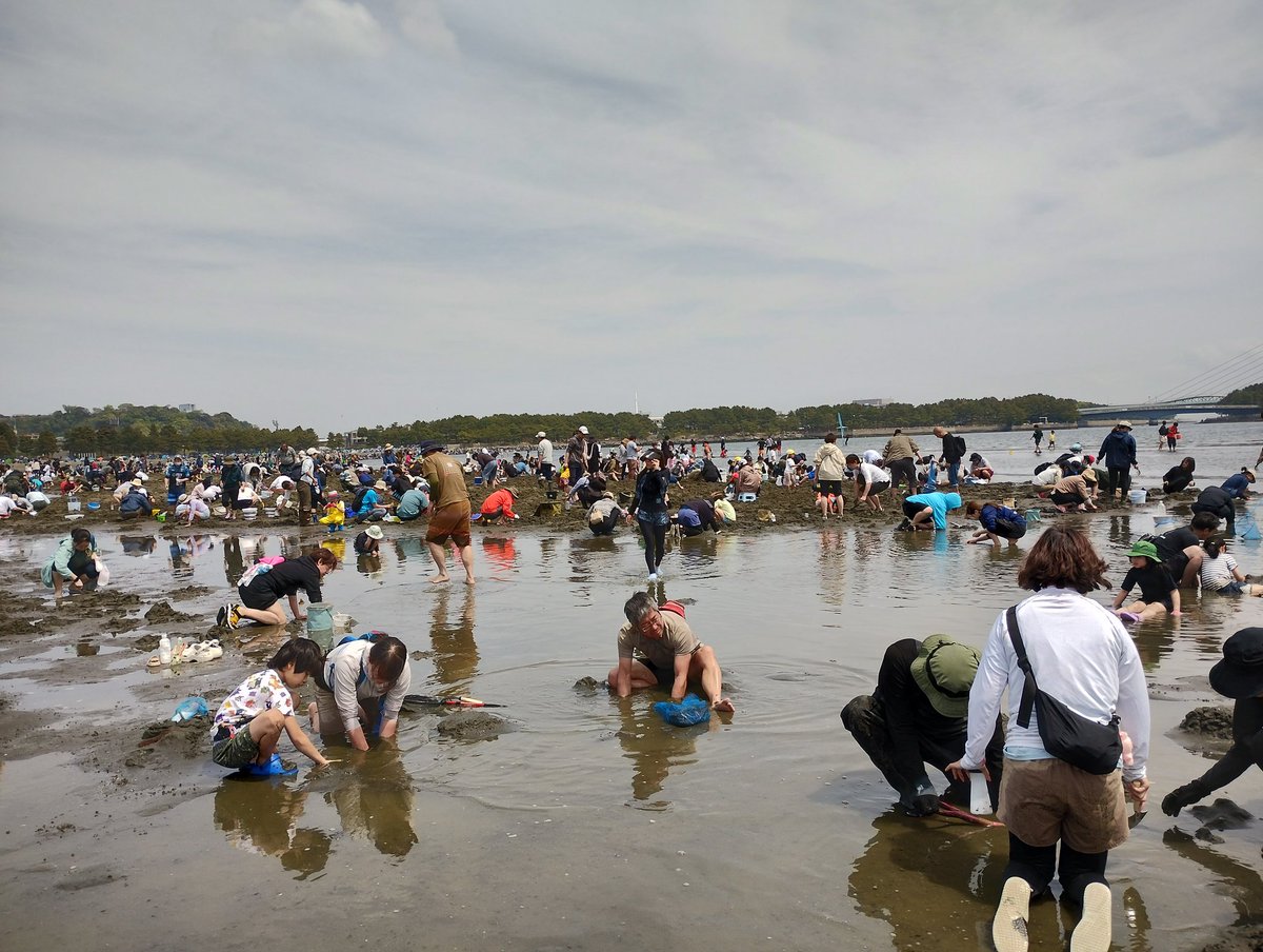 もっち〜 （右） tweet media