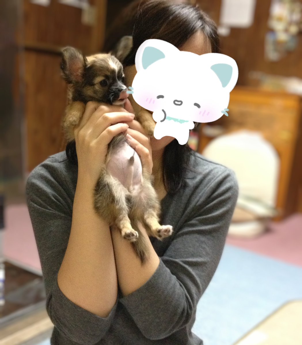 hittochan❁ tweet media