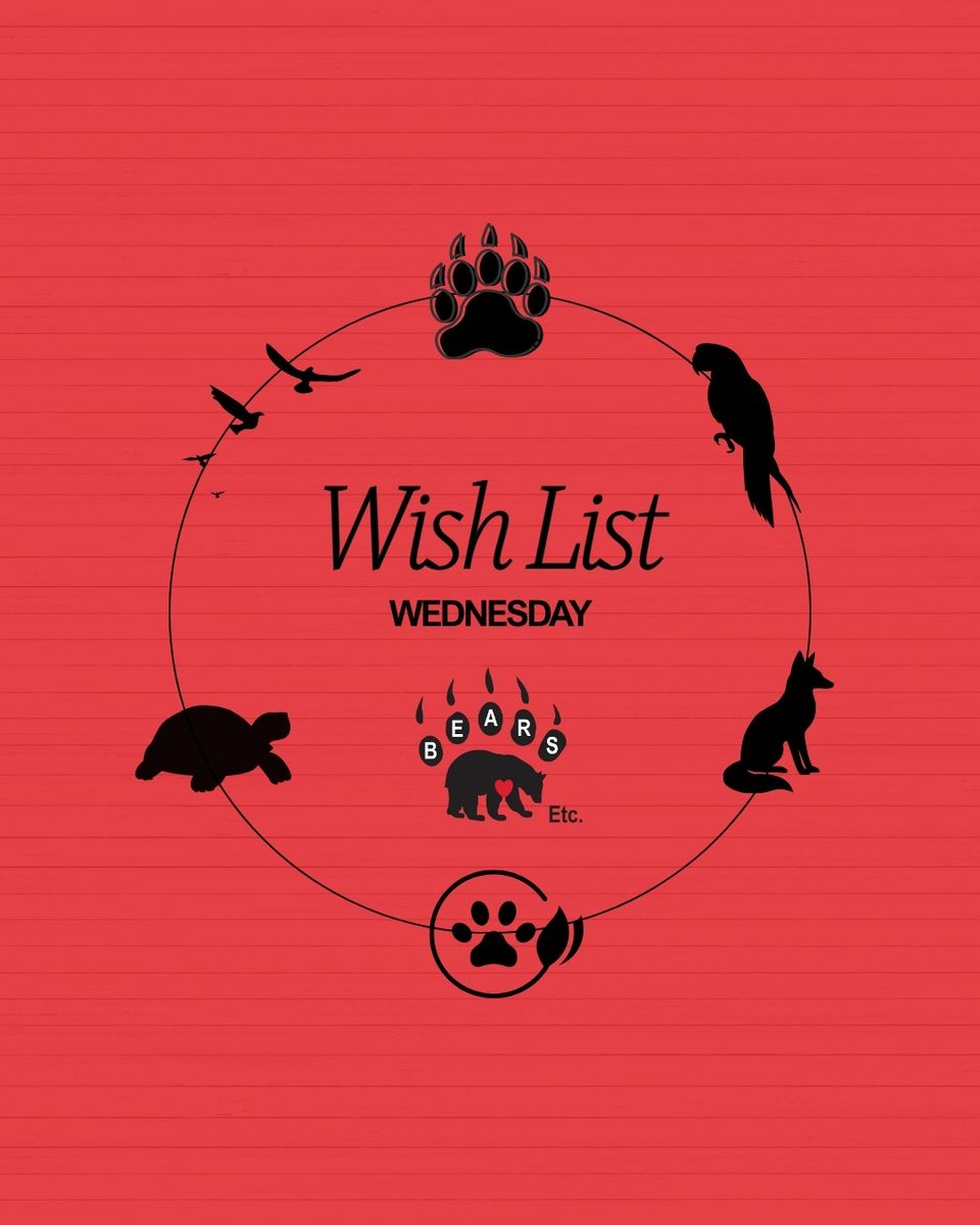 BearsEtcTX's tweet image. #WishlistWednesday We are in need of additional UVB bulbs for our reptile friends. This light replaces natural rays of sunlight to ensure they can produce enough vitamins to survive. Will you light up their lives?

Amazon list in linktree
#givetoday #reptiles #wildliferescue