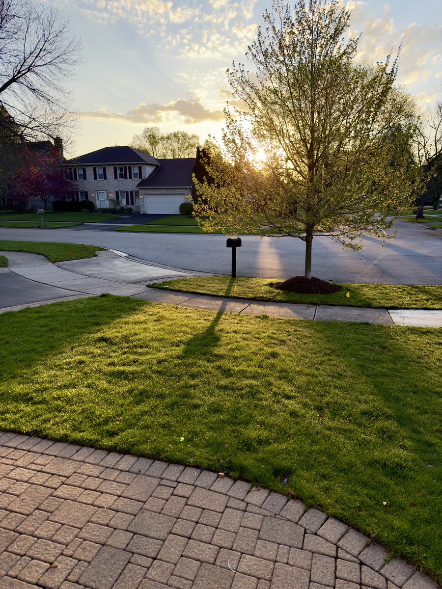 Patrick Zielinski tweet media