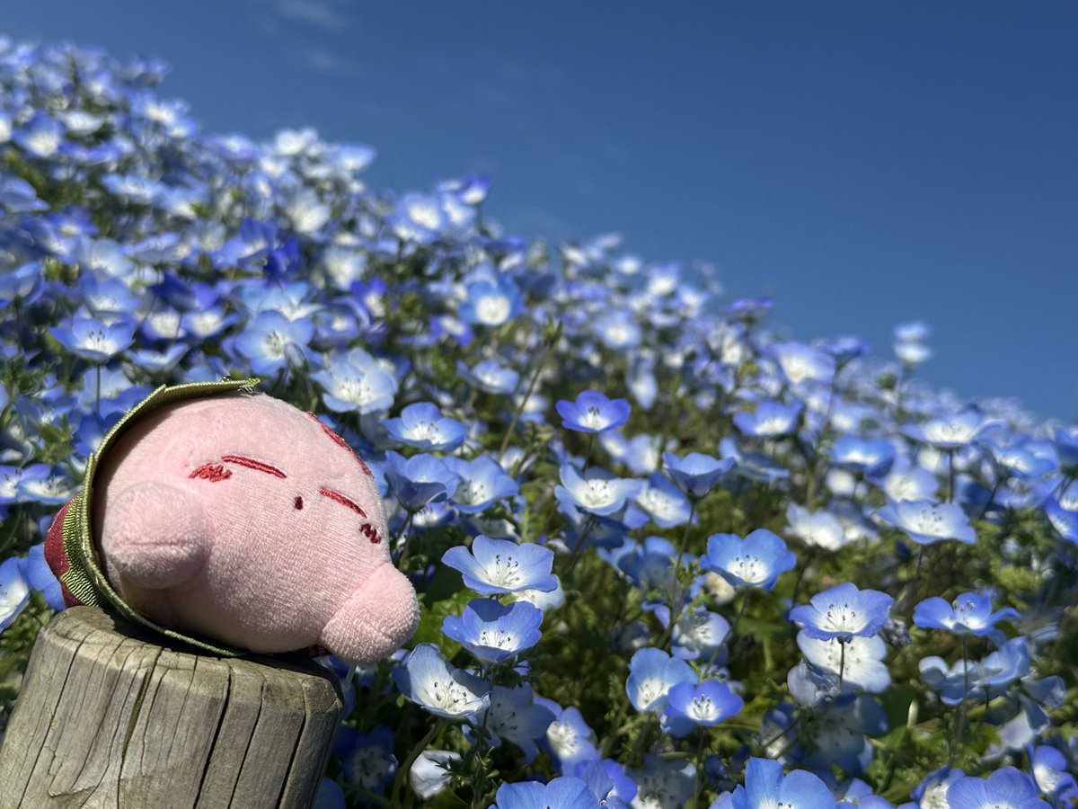 なっつん@ポケモンGO tweet media