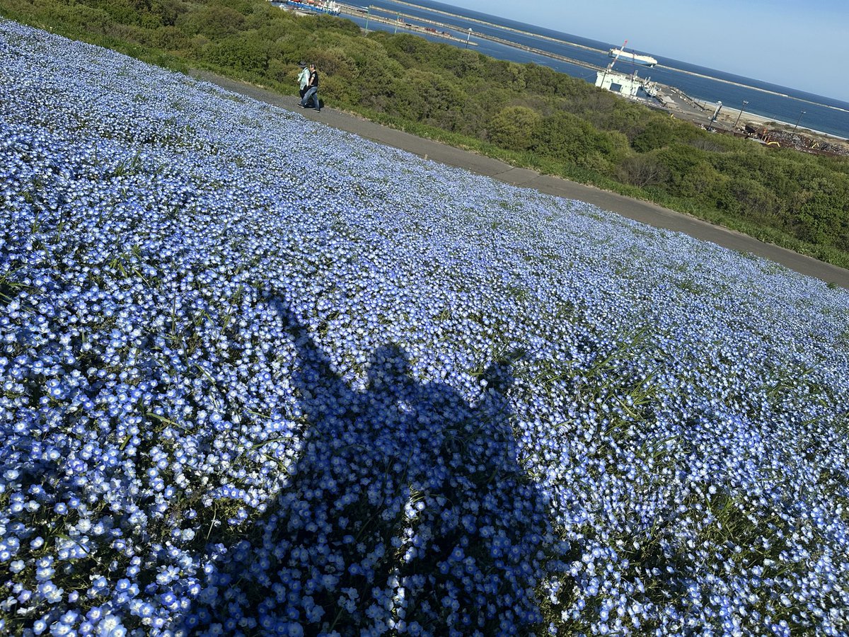 なっつん@ポケモンGO tweet media