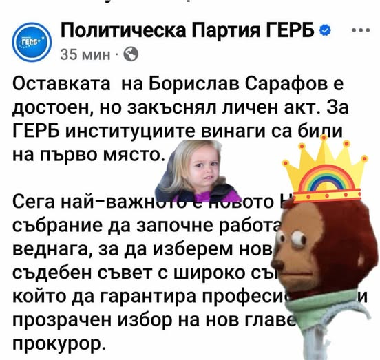 freesofia tweet media