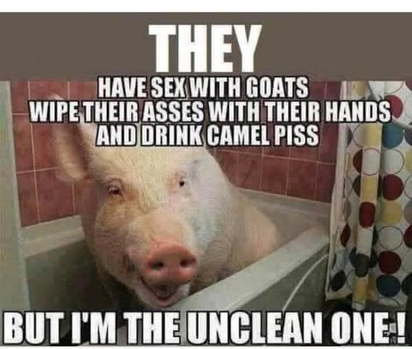 SaltyGoat tweet media