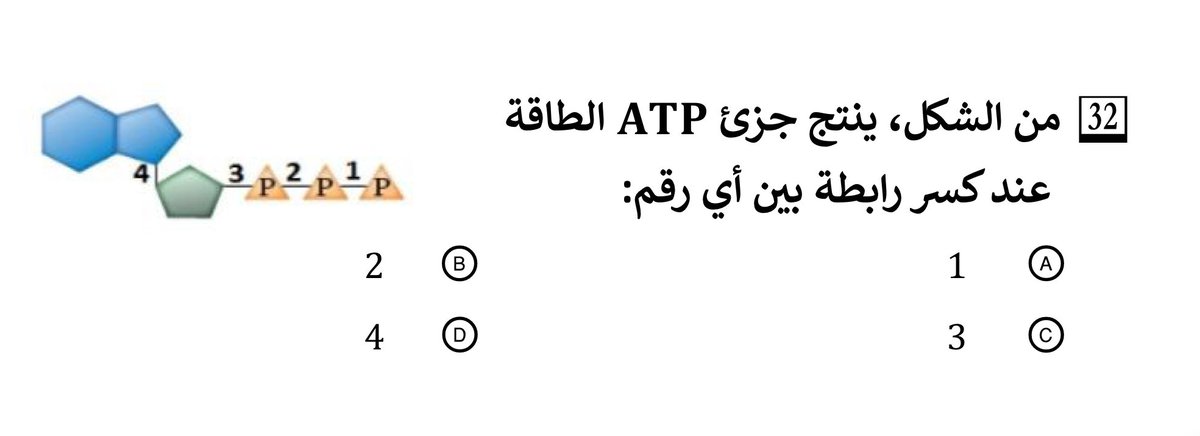 ياسر tweet media