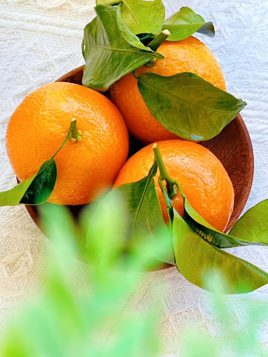 Suzanne Bennett tweet media