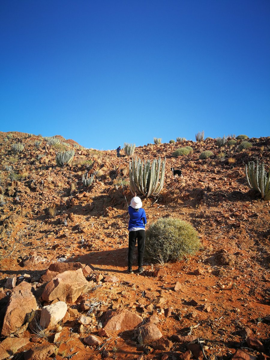 RandNamib's tweet photo. Earth Day 2026 🌿
At NamibRand Nature Reserve, we celebrate and protect the landscapes, wildlife, and dark skies that make this place unique.
From conservation to restoring habitats, we’re reminded daily: every action matters. 💚

#EarthDay2026 #OurPowerOurPlanet #NamibRand https://t.co/HWgJKHLh2A