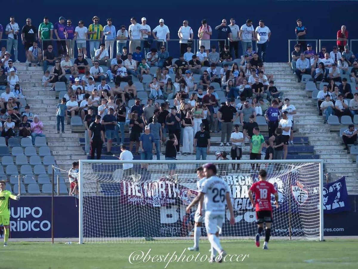 𝗧𝗵𝗲 𝗡𝗼𝗿𝘁𝗵 𝗙𝗮𝗻𝘀 tweet media