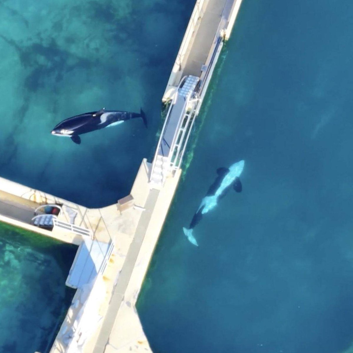 Jägerin tweet media