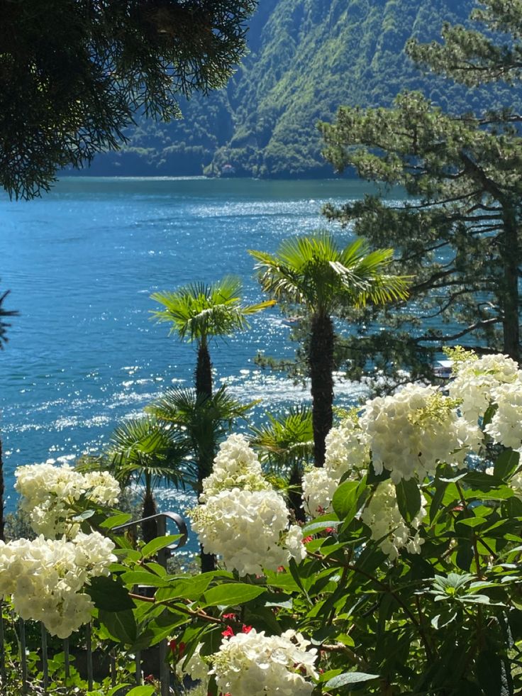 2025pics's tweet photo. Italy como https://t.co/j66x5hVQIQ