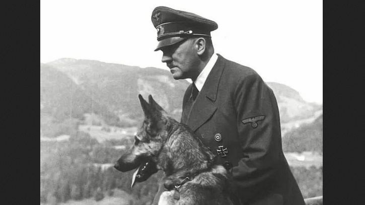 Наблюдатель✗ tweet media