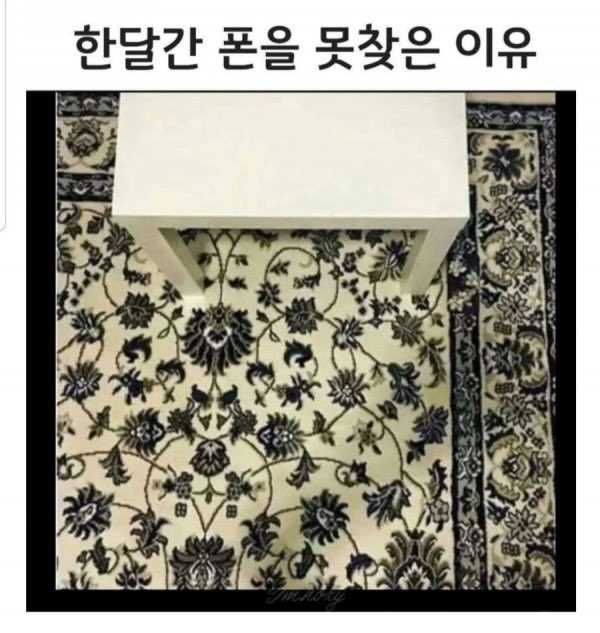 캣츠파파 tweet media