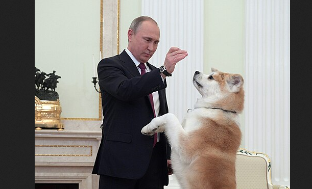 Наблюдатель✗ tweet media