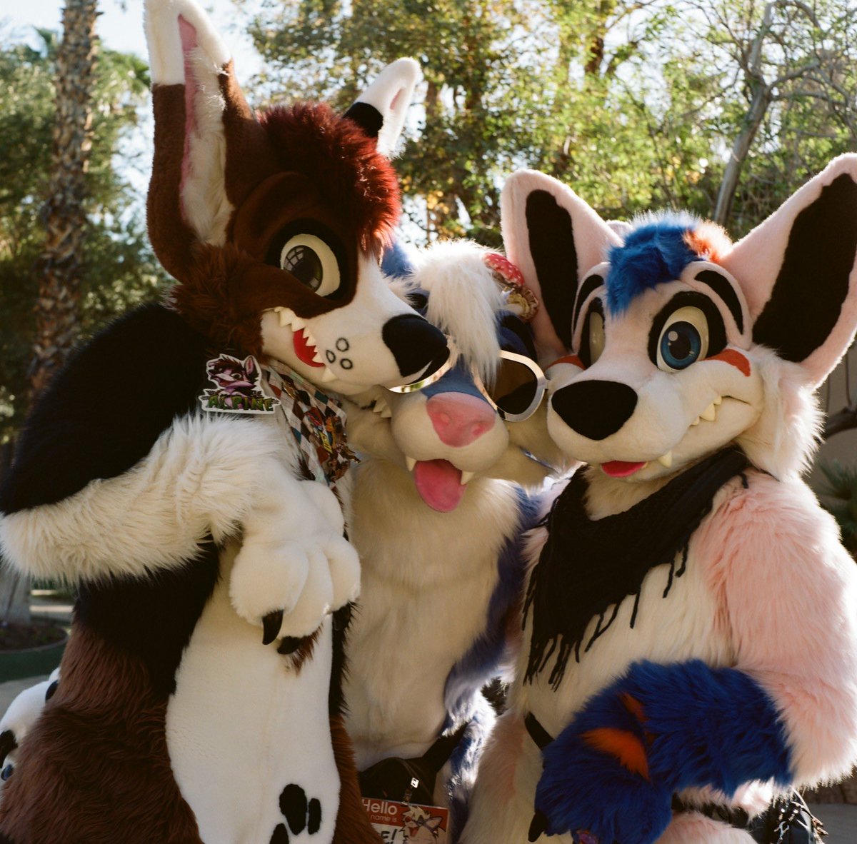 Finn @Furry Camping tweet media