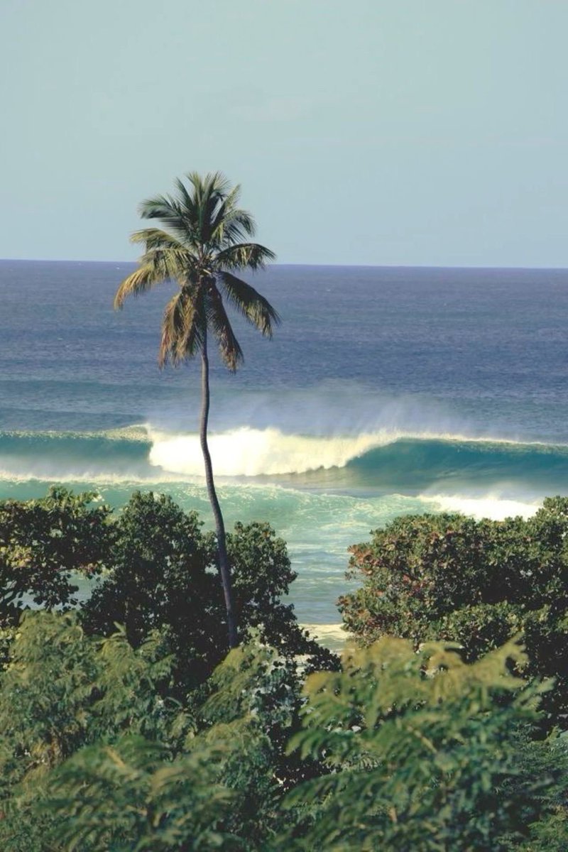 HeavenOnEarth tweet media