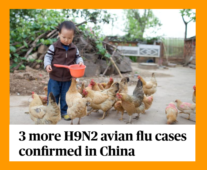 bennel62's tweet image. #China reports 3 more cases of #avianflu in humans paulsnewsline.blogspot.com/2026/04/china-…