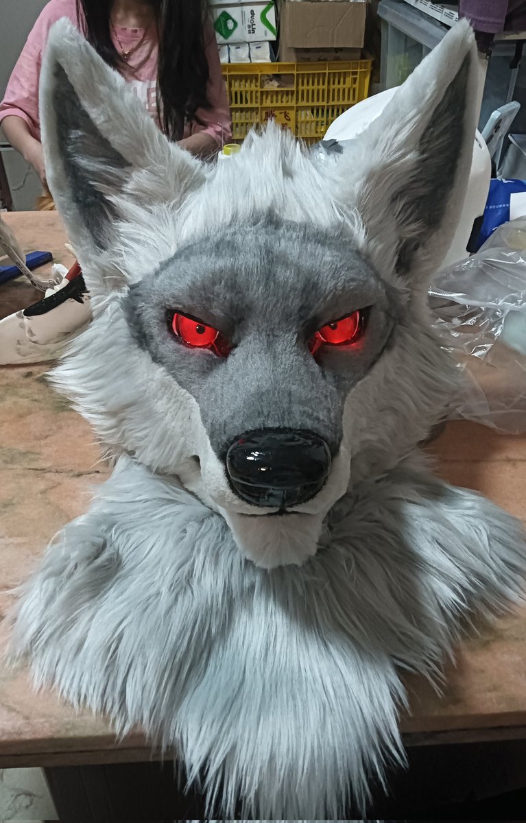 qijin（霉虎工作室）➡️Hi furry tweet media