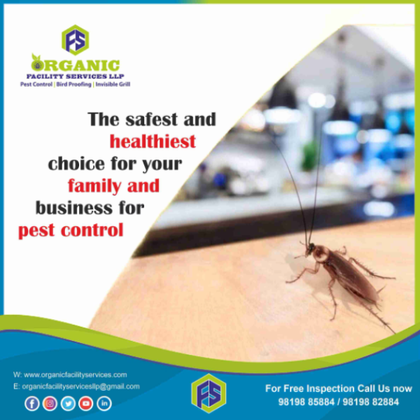 LlpOrganic's tweet photo. General Pest Control Service Near Me in Mumbai – Everyday Protection ..For more info visit...https://t.co/jBJfjkhLot https://t.co/4tKK15dNn9