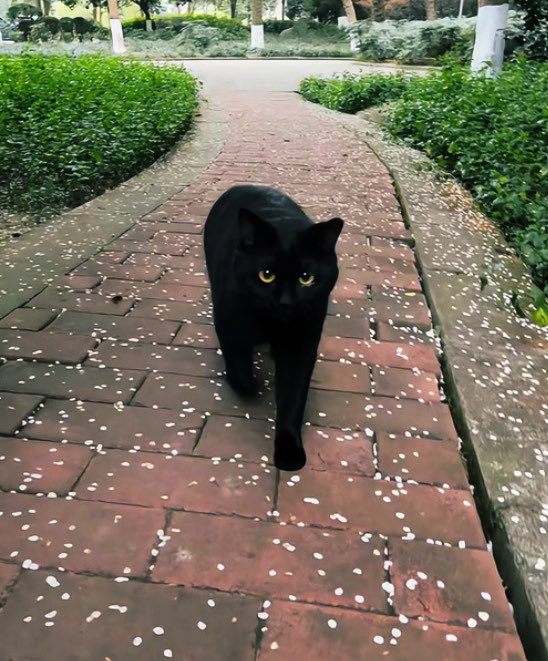 longlongago🌠 tweet media