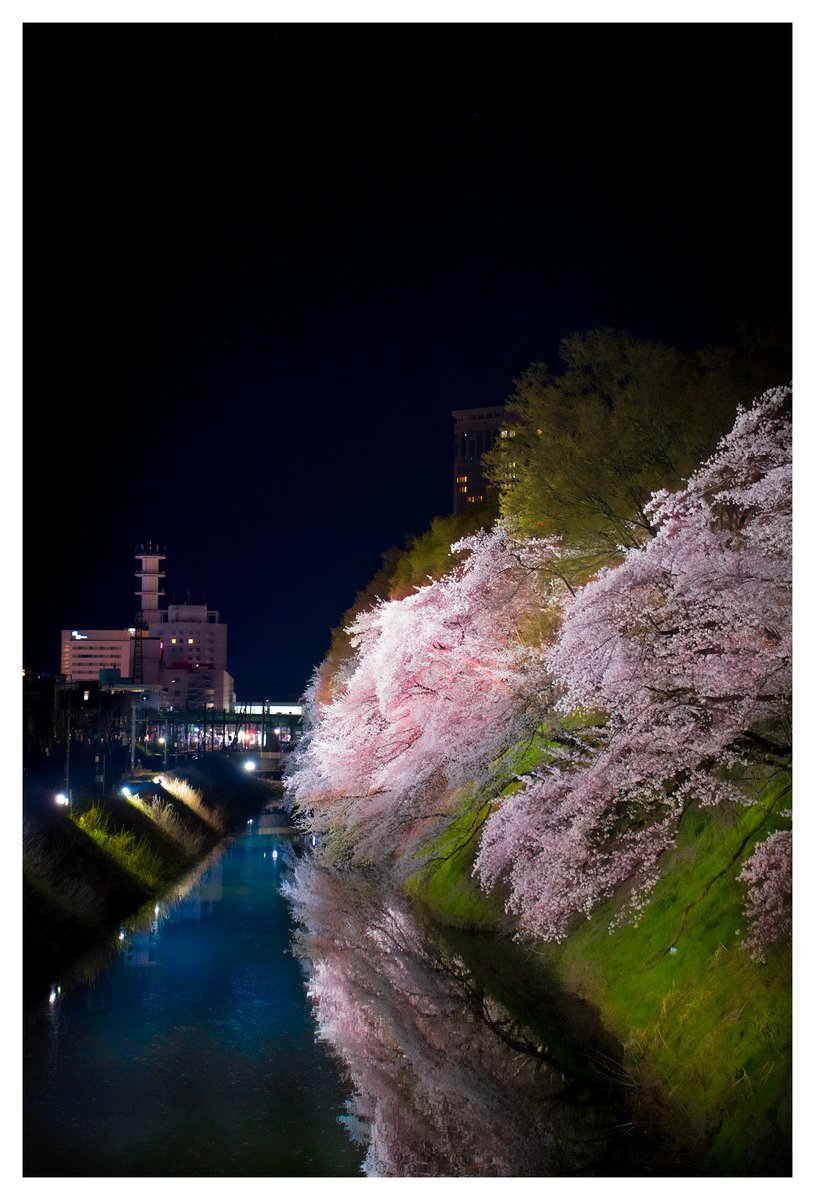 tumugi_day_7's tweet photo. 「夜に咲く静かな光」

静かな夜に、やわらかく咲く光。
水面に揺れる春の記憶

#写真好きな人と繋がりたい
#キリトリセカイ https://t.co/8FXx9DLa2w