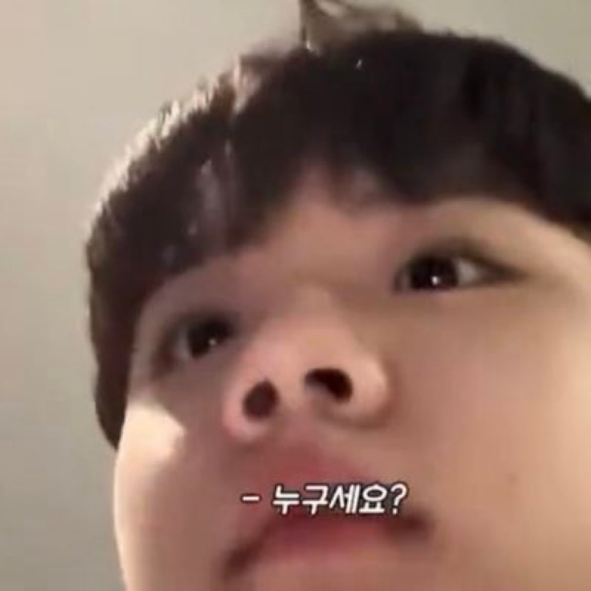 BandoBaby ⚖️ tweet media