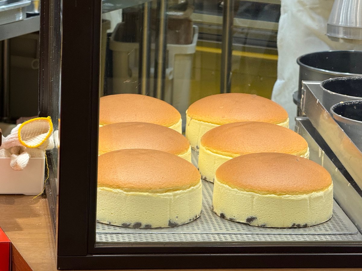 전이정 아카이브 tweet media