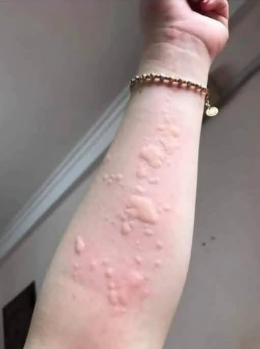 كيمو tweet media