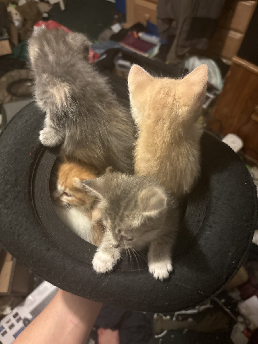 trains647 tweet media