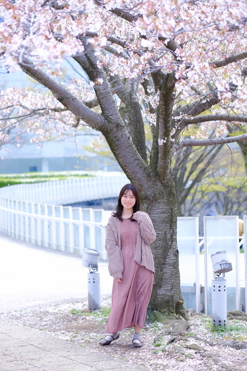 なんば tweet media