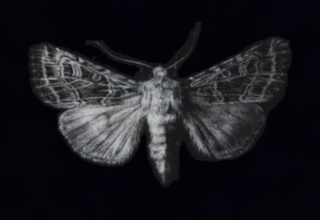 𝐌𝗶𝗴𝘂𝗲𝗹 tweet media