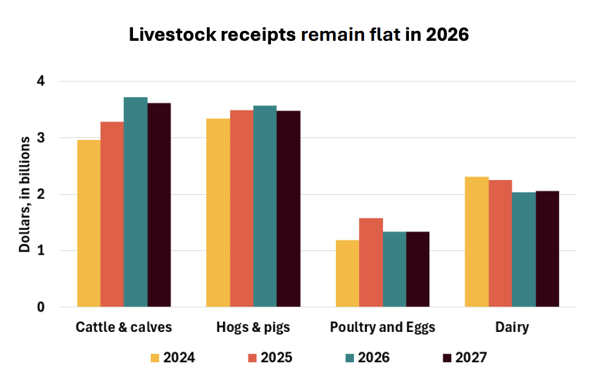 FarmPolicy's tweet image. 1/ #Livestock #receipts in #Minnesota are projected to remain relatively flat in 2026, as strong numbers for cattle and calves and turkeys are offset by decreased revenue in the dairy and egg industries.

From the @RaFFfinance: tinyurl.com/dd5p89v3